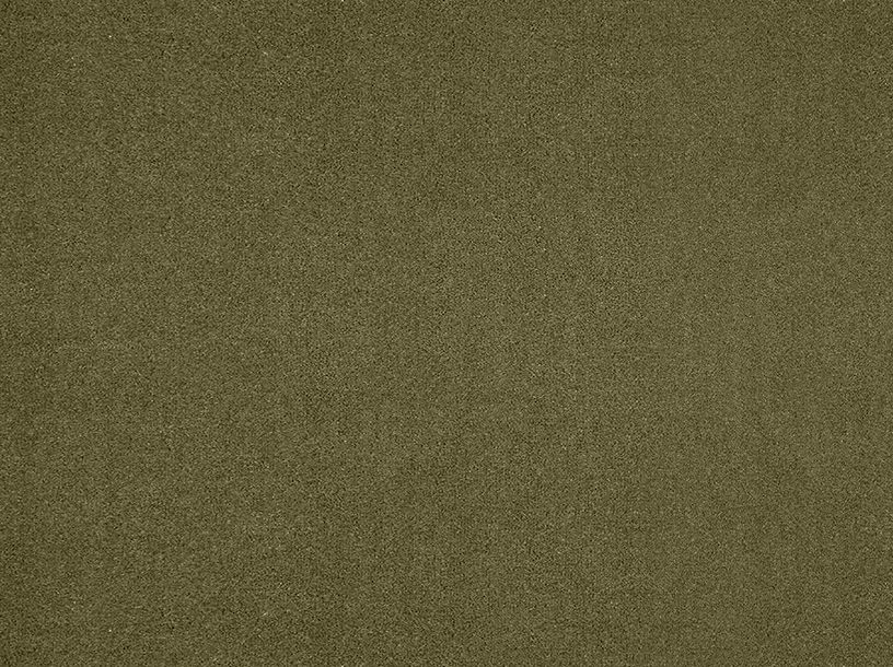 Moquette velours Tessa 4M, col Vert olive, rouleau 4.00 m