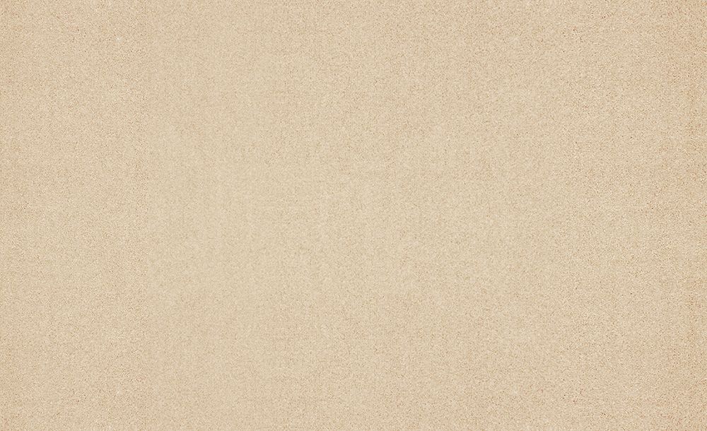 Moquette velours Tessa 4M, col Beige clair, rouleau 4.00 m