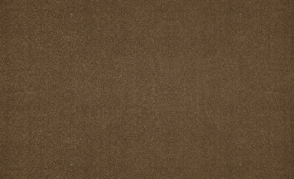 Moquette velours Tessa 4M, col Brun taupe, rouleau 4.00 m