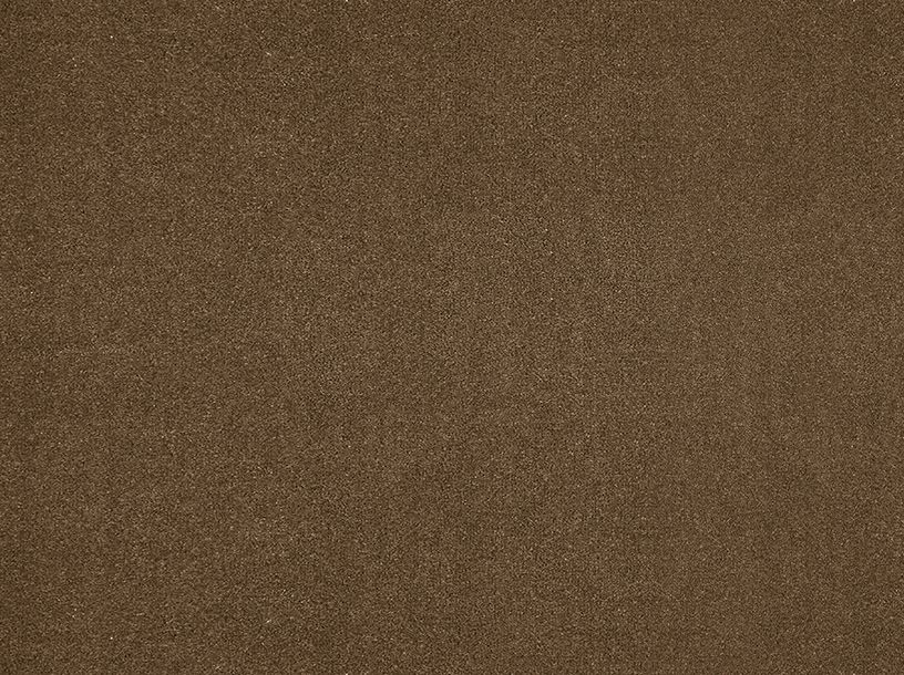 Moquette velours Tessa 4M, col Brun taupe, rouleau 4.00 m