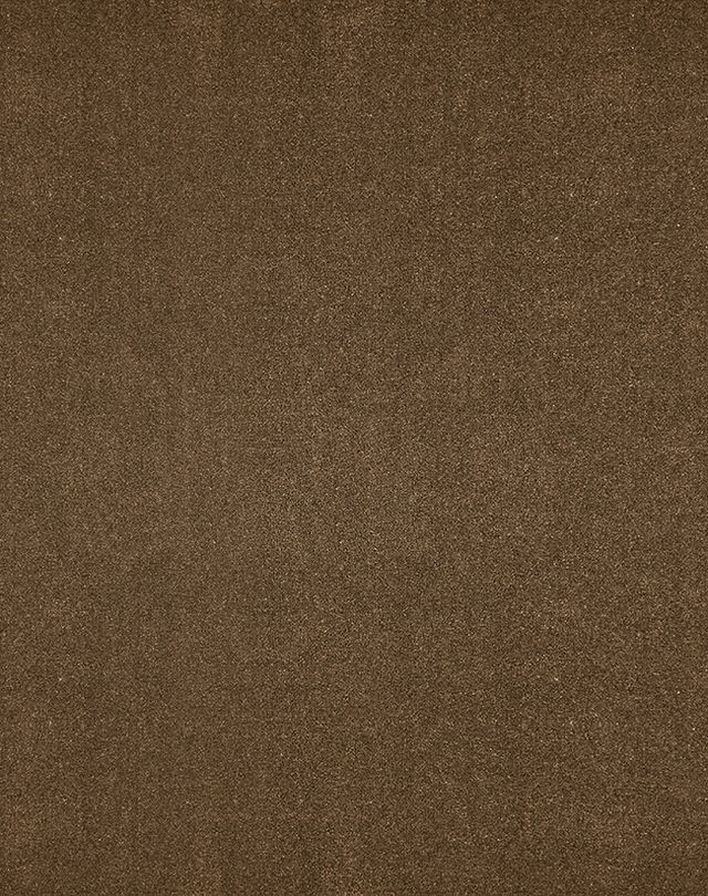 Moquette velours Tessa 4M, col Brun taupe, rouleau 4.00 m