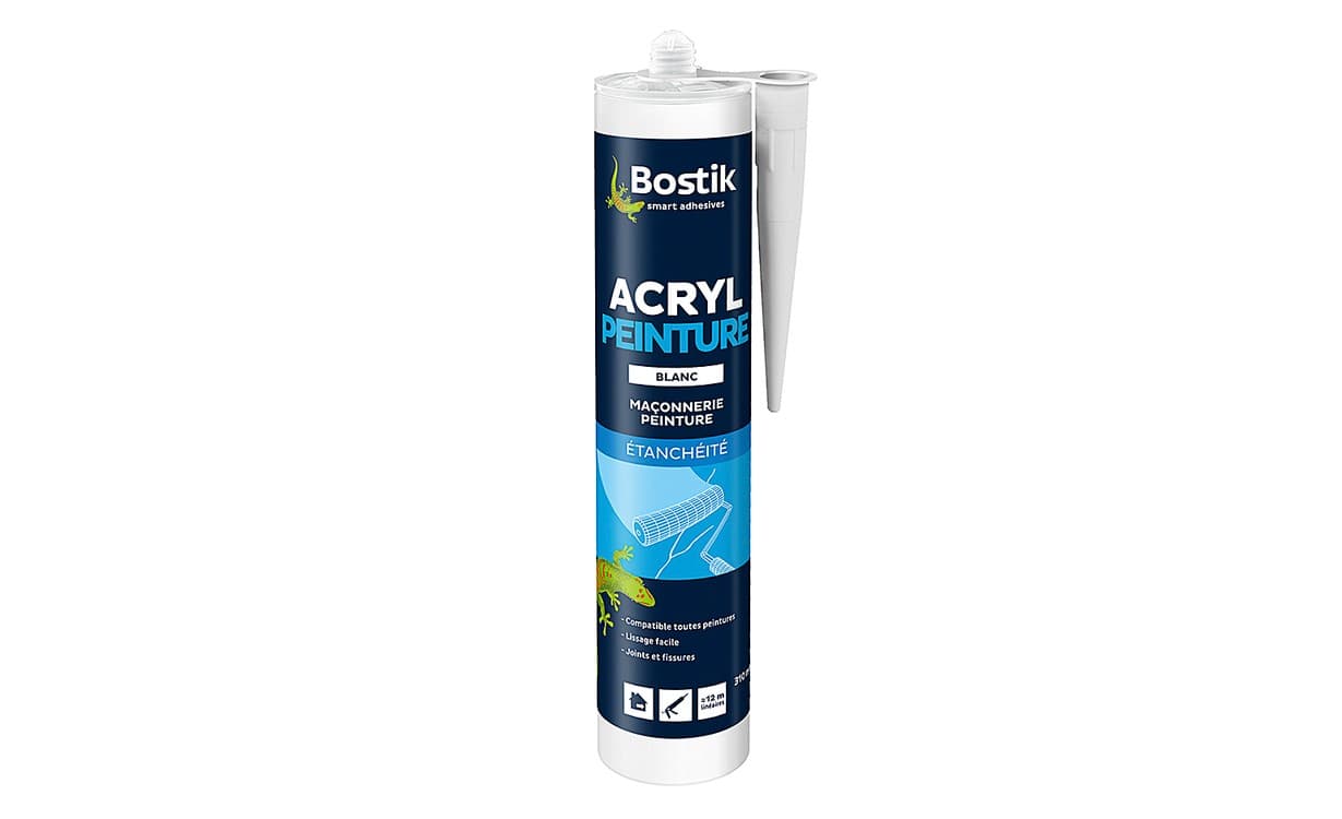 Joint acrylique ACRYL PEINTURE blanc, 310 ml