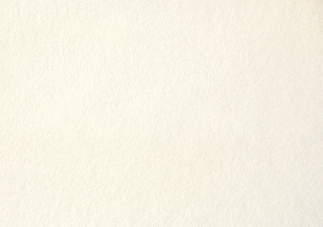 Moquette aiguilletée XPOFLAT, col ecru, rouleau 2.00 m