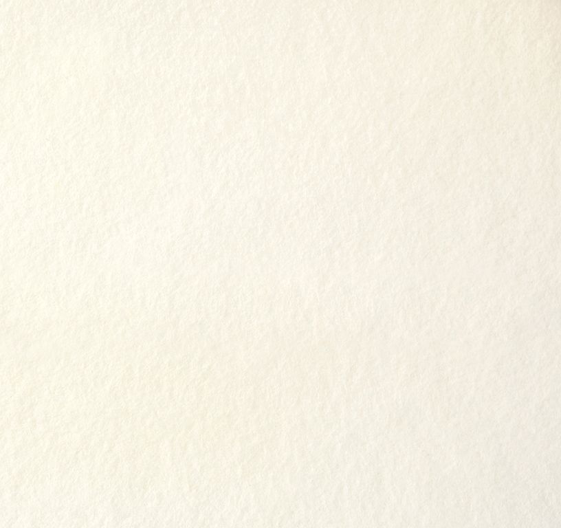 Moquette aiguilletée XPOFLAT, col ecru, rouleau 2.00 m