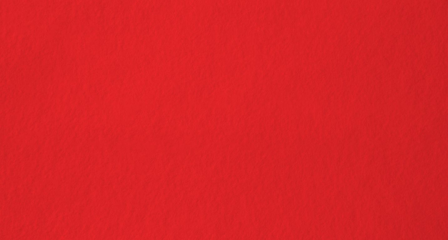 Moquette aiguilletée XPOFLAT, col rouge, rouleau 2.00 m