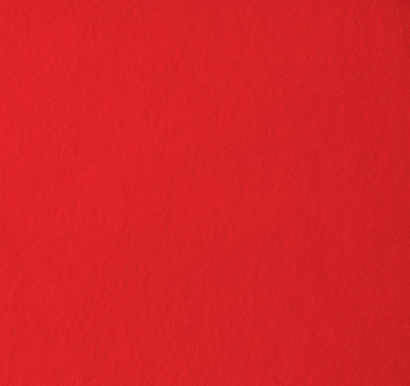 Moquette aiguilletée XPOFLAT, col rouge, rouleau 2.00 m