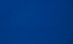 Moquette aiguilletée XPOFLAT, col bleu roi, rouleau 2.00 m