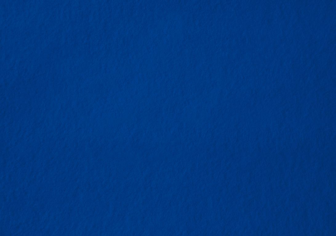 Moquette aiguilletée XPOFLAT, col bleu roi, rouleau 2.00 m