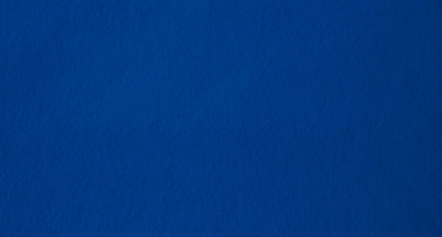 Moquette aiguilletée XPOFLAT, col bleu roi, rouleau 2.00 m