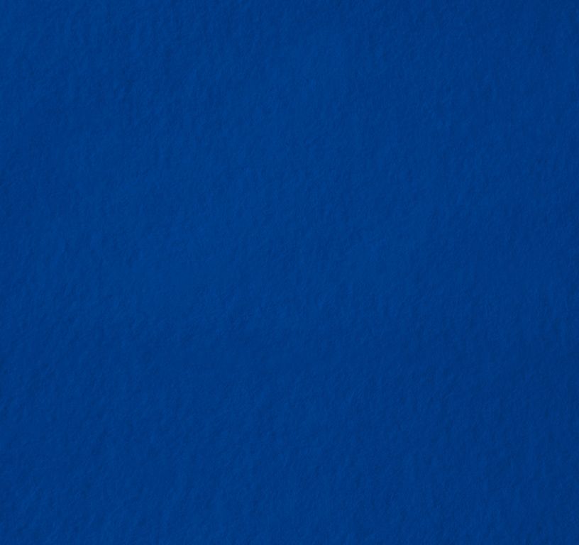 Moquette aiguilletée XPOFLAT, col bleu roi, rouleau 2.00 m