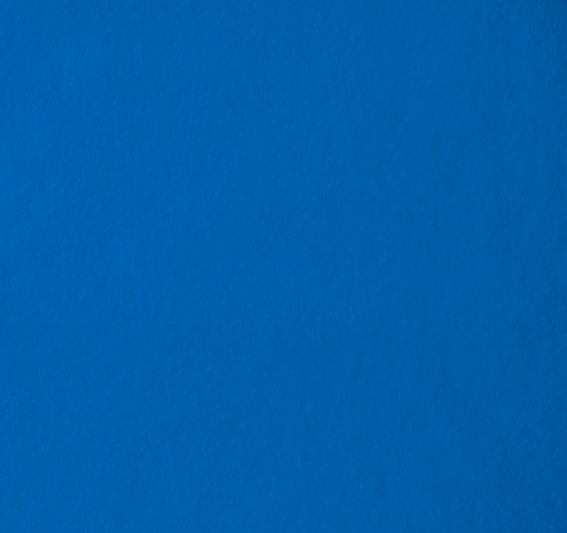 Moquette aiguilletée XPOFLAT, col bleu électrique, rouleau 2.00 m