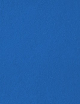 Moquette aiguilletée XPOFLAT, col bleu électrique, rouleau 2.00 m