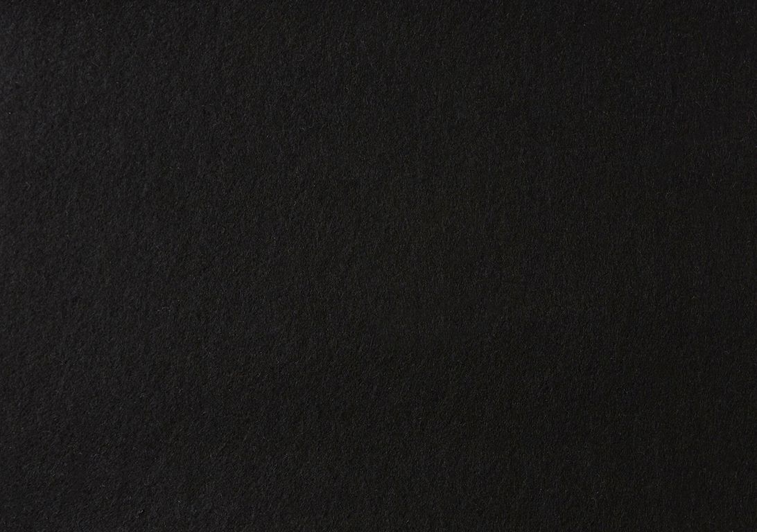 Moquette aiguilletée XPOFLAT, col noir, rouleau 2.00 m