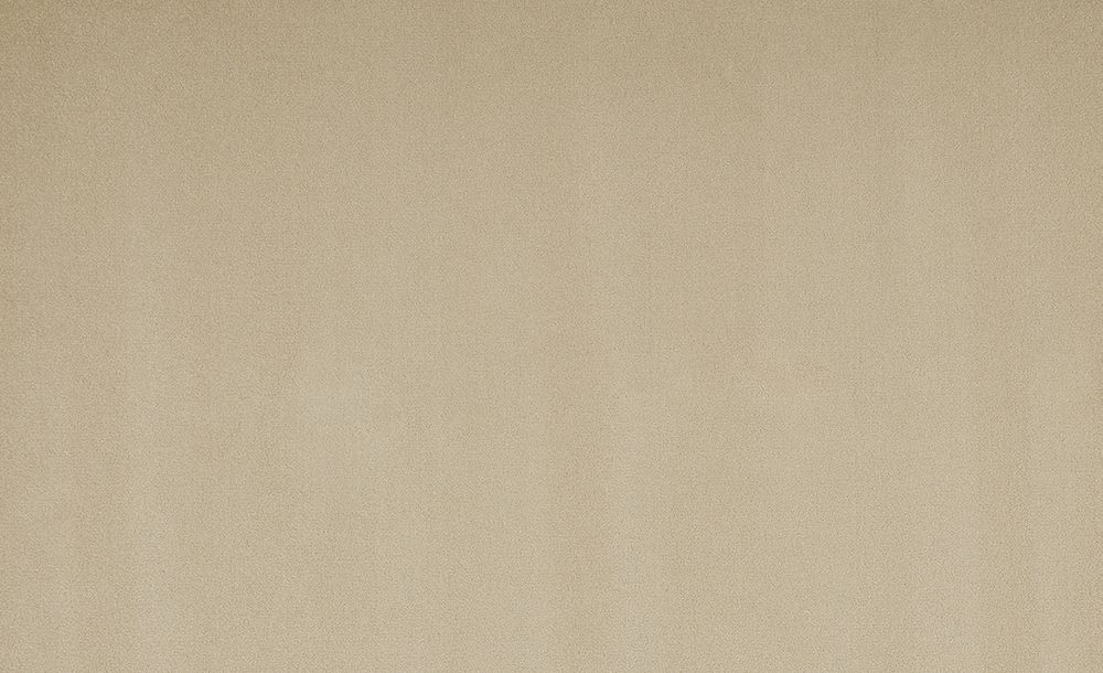 Moquette velours Romy , col Ivoire, rouleau 4.00 m