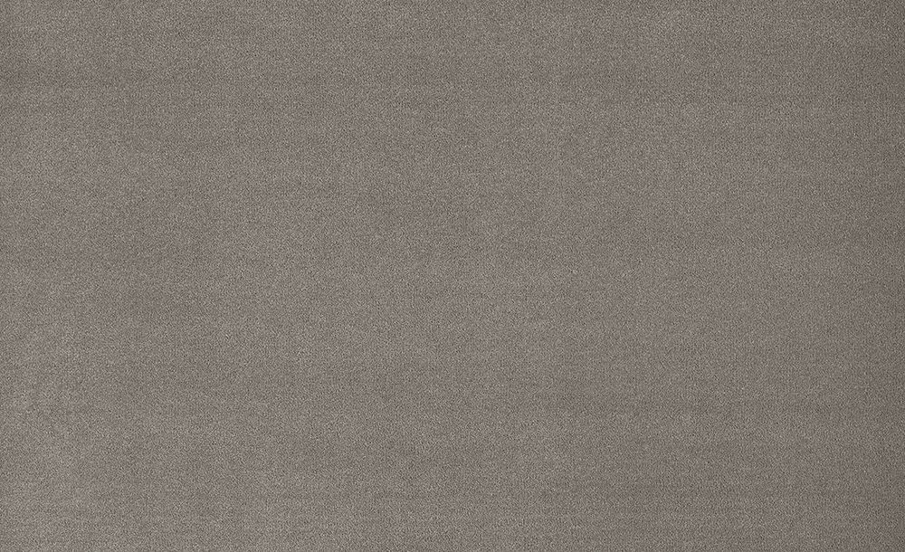 Moquette velours Romy , col taupe, rouleau 4.00 m