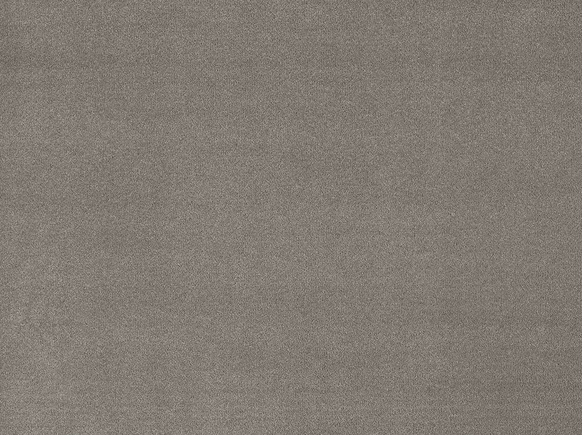 Moquette velours Romy , col taupe, rouleau 4.00 m