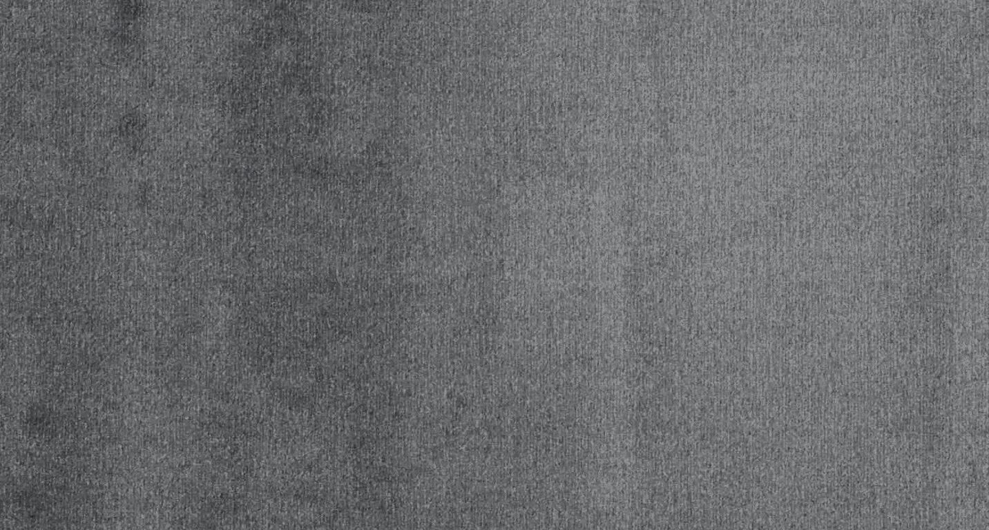 Moquette velours ROXANE, col gris nuage, rouleau 4.00 m