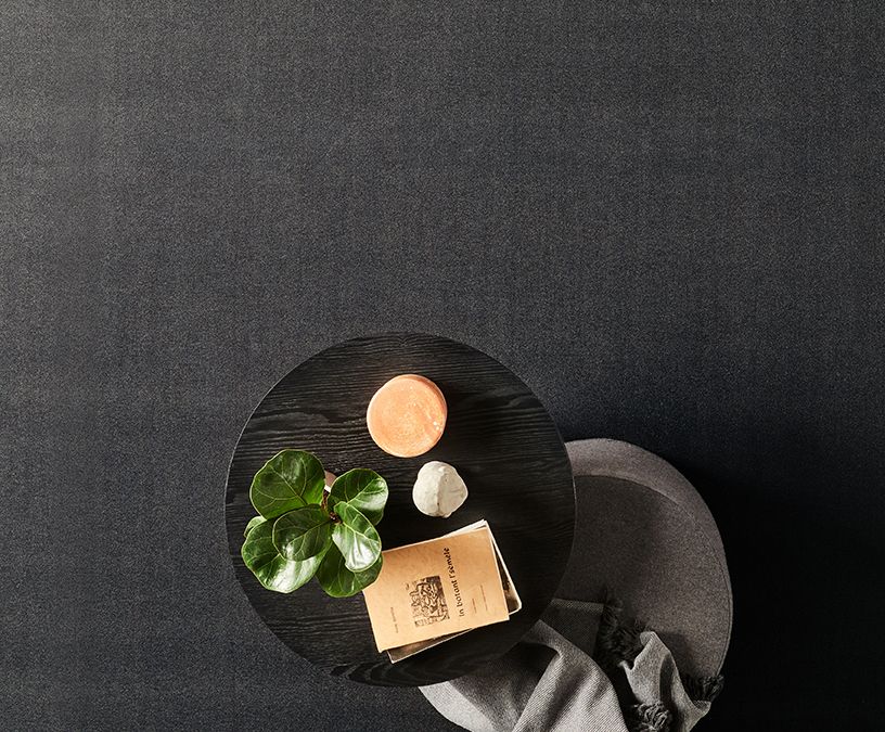 Moquette velours ROXANE, col gris anthracite, rouleau 4.00 m