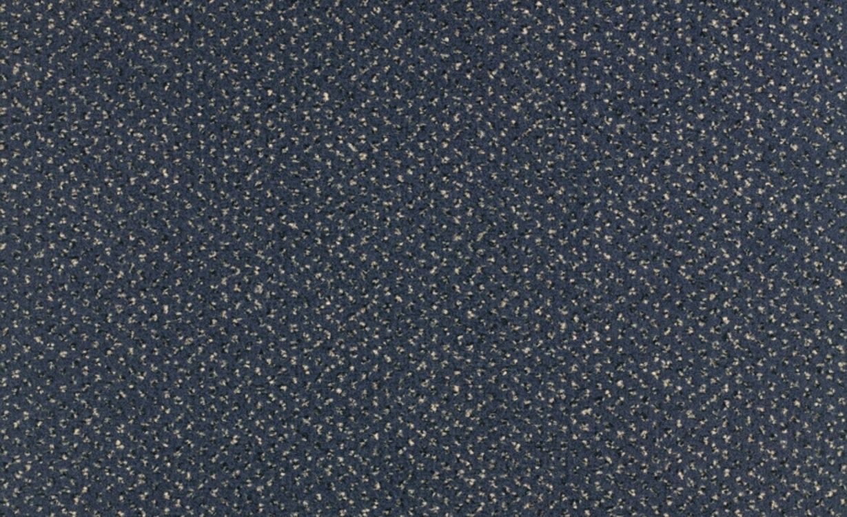 Moquette imprimée NIAGARA, col onyx, rouleau 4.00 m