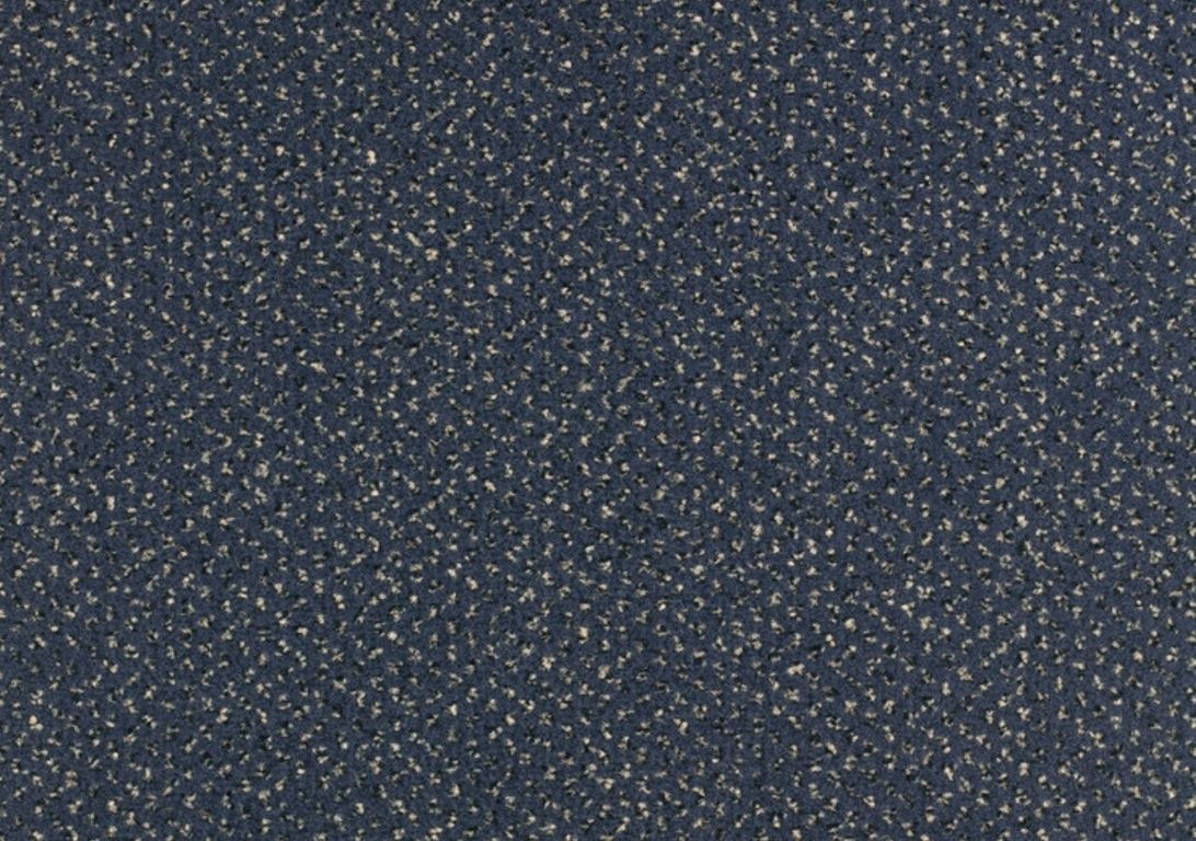 Moquette imprimée NIAGARA, col onyx, rouleau 4.00 m