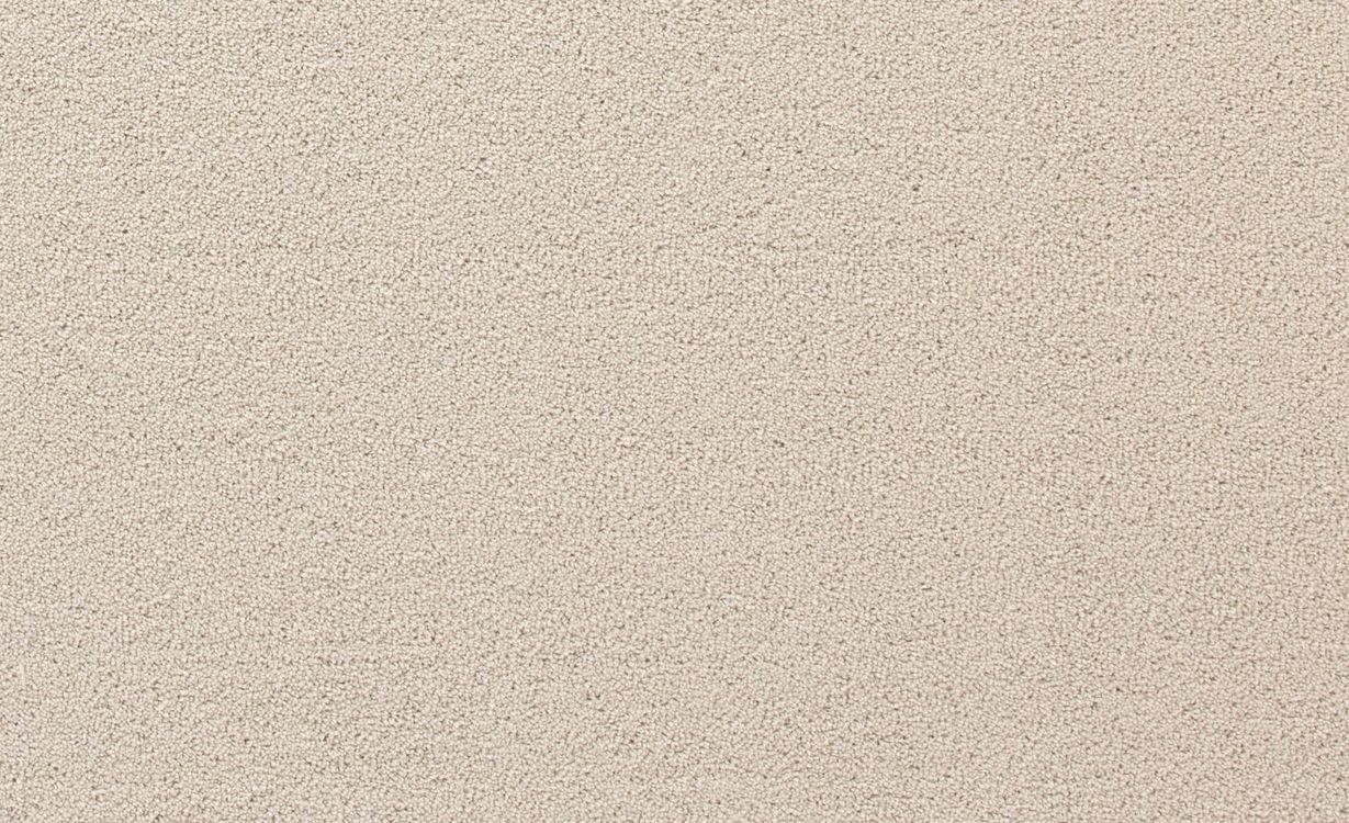 Moquette velours CERES 4M, col gris perle, rouleau 4.00 m