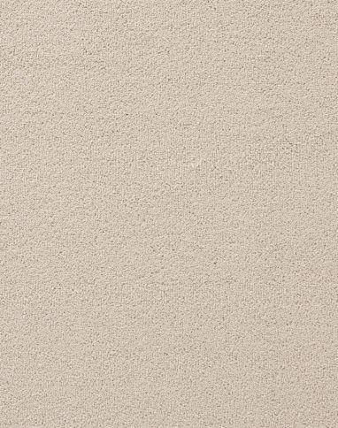 Moquette velours CERES 4M, col gris perle, rouleau 4.00 m