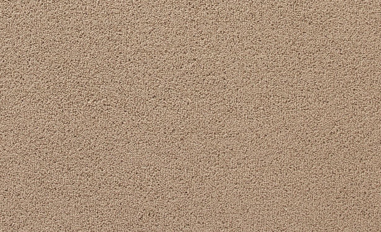 Moquette velours CERES 4M, col Taupe grisé , rouleau 4.00 m
