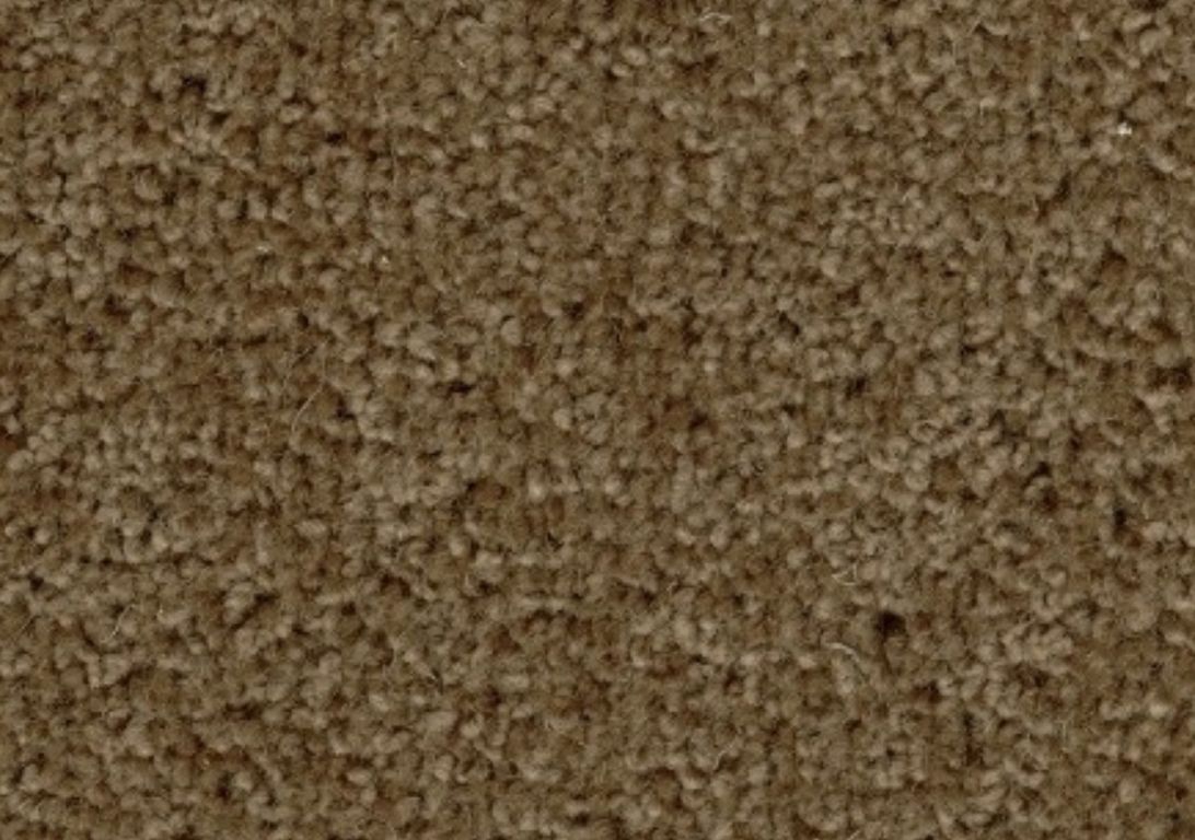 Moquette velours CERES 4M, col Taupe grisé , rouleau 4.00 m