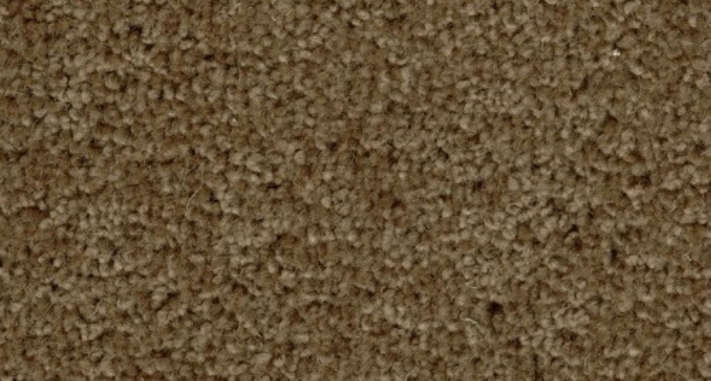 Moquette velours CERES 4M, col Taupe grisé , rouleau 4.00 m