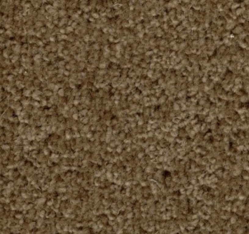 Moquette velours CERES 4M, col Taupe grisé , rouleau 4.00 m
