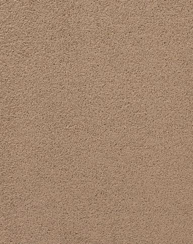 Moquette velours CERES 4M, col gris nuage, rouleau 4.00 m