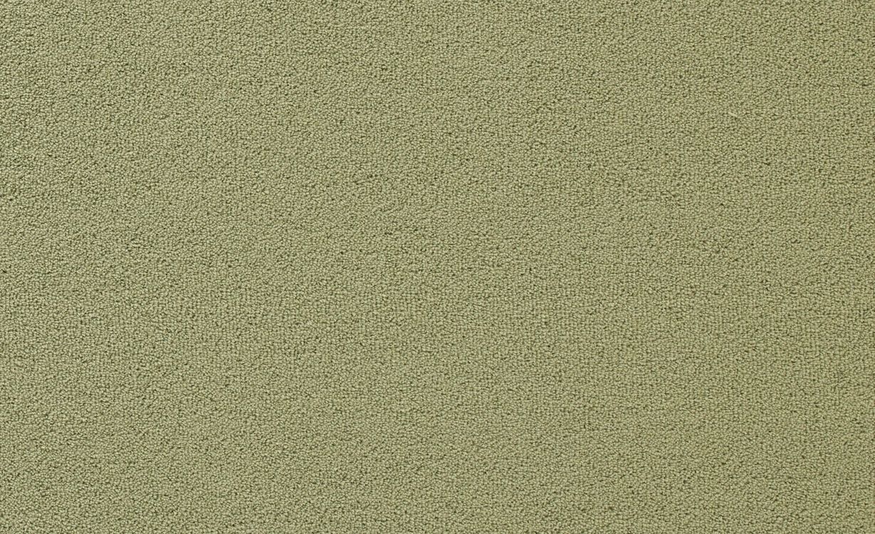 Moquette velours CERES 4M, col vert anis, rouleau 4.00 m