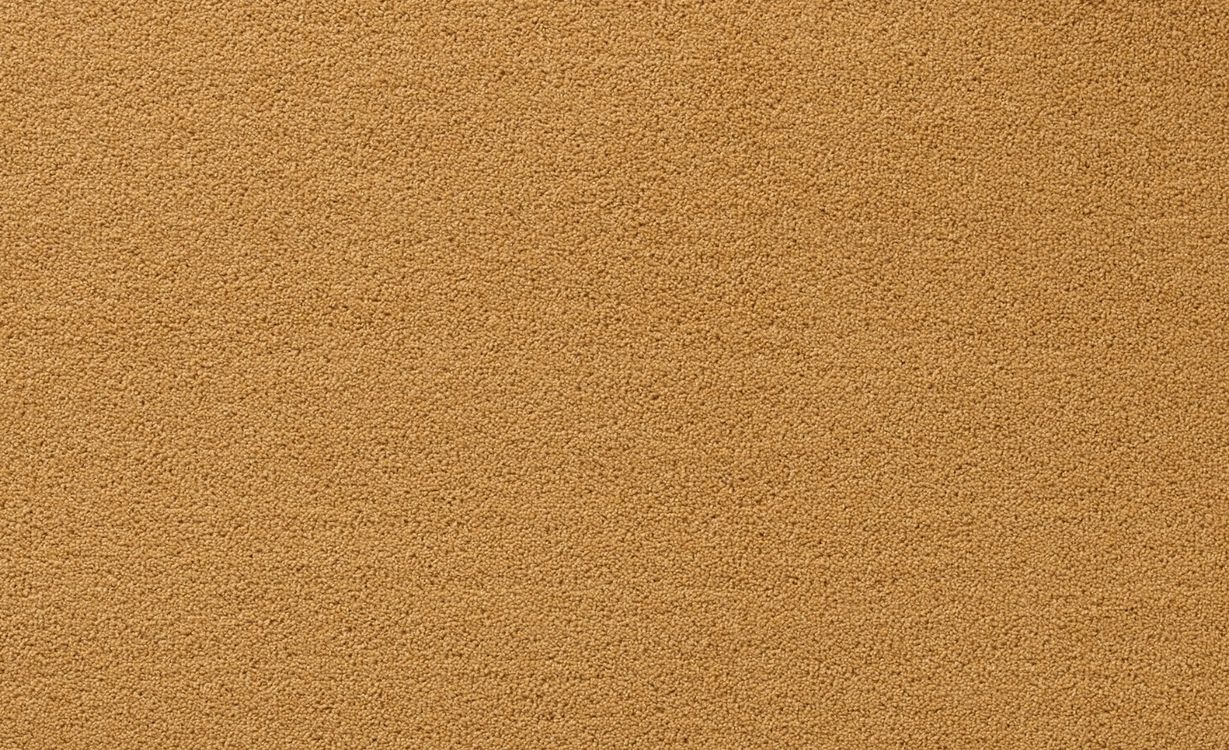 Moquette velours CERES 4M, col Or , rouleau 4.00 m