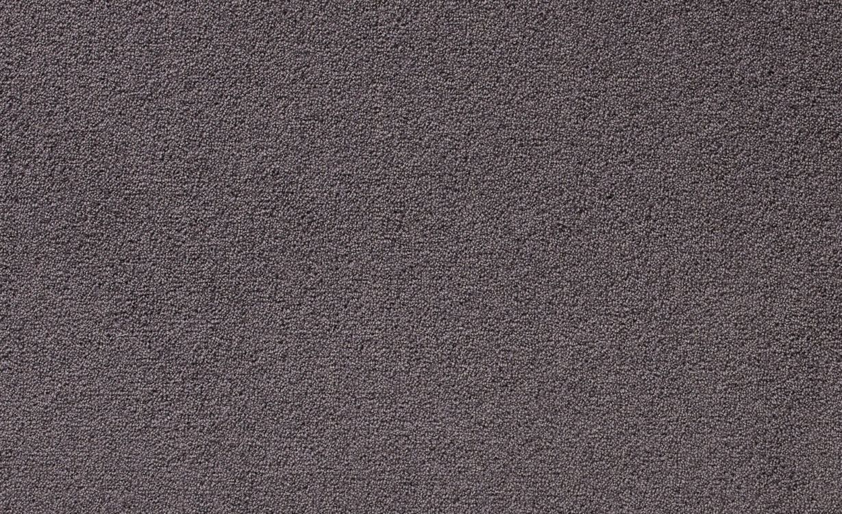 Moquette velours CERES 4M, col Gris éléphant , rouleau 4.00 m