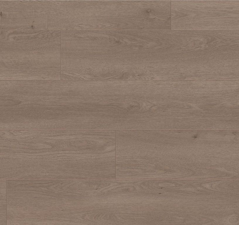 Sol stratifié EASYLIFE LEGEND 2 Easylife, aspect Bois Chêne grège, lame 19.20 x 126.10 cm