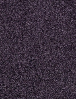 Moquette velours GRANDIOSE, col violet, rouleau 4.00 m