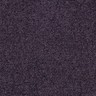 violet foncé