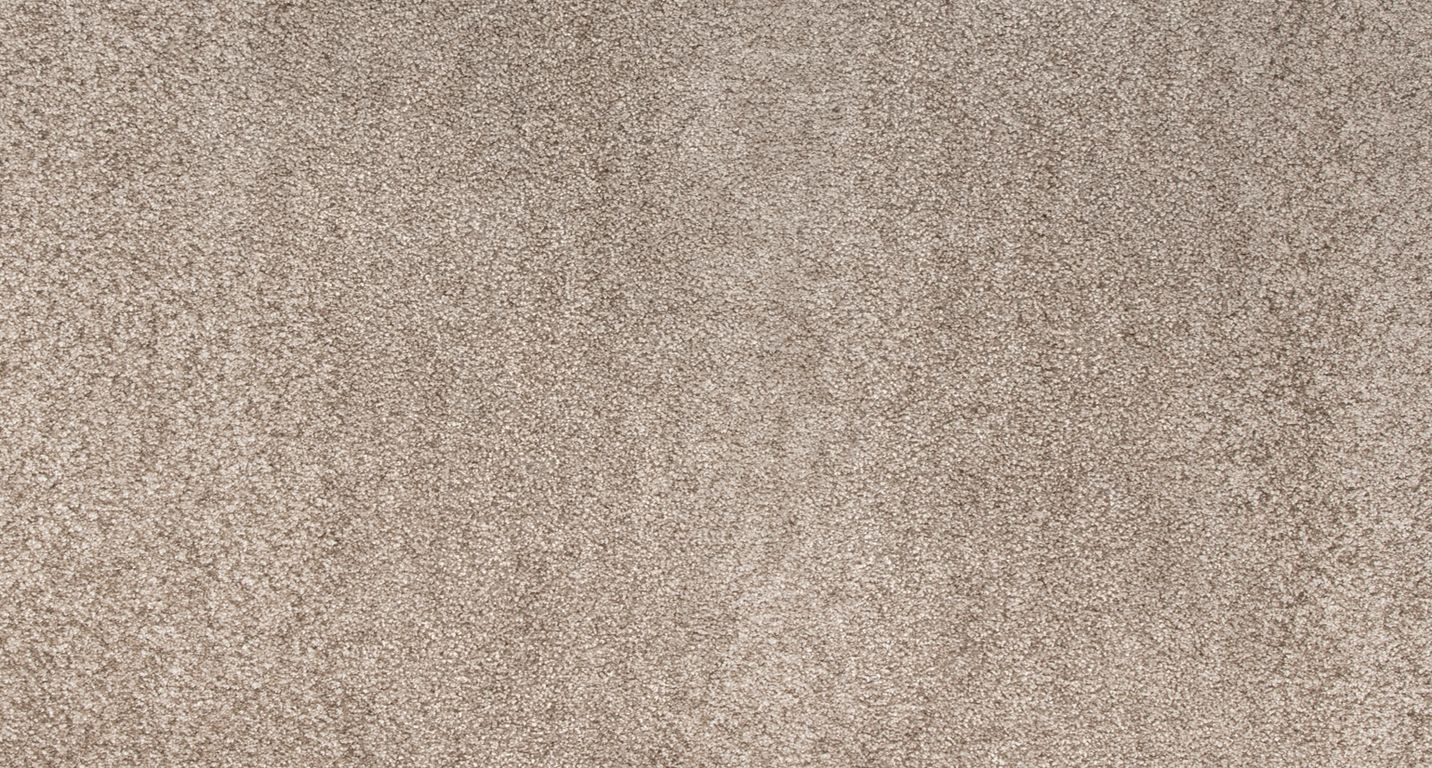 Moquette shaggy SECRET NEW 4M, col taupe, rouleau 4.00 m