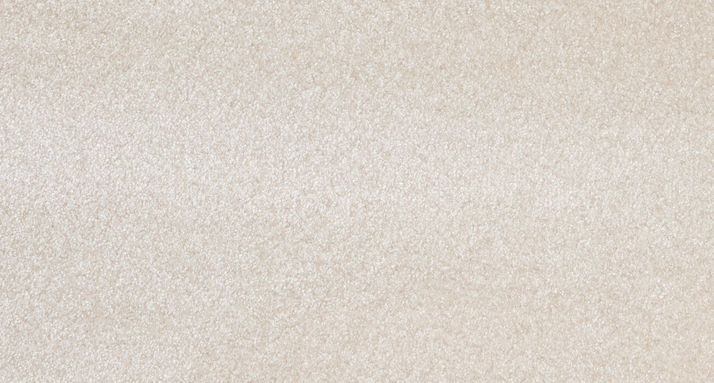 Moquette shaggy SECRET NEW 5M, col ivoire, rouleau 5.00 m