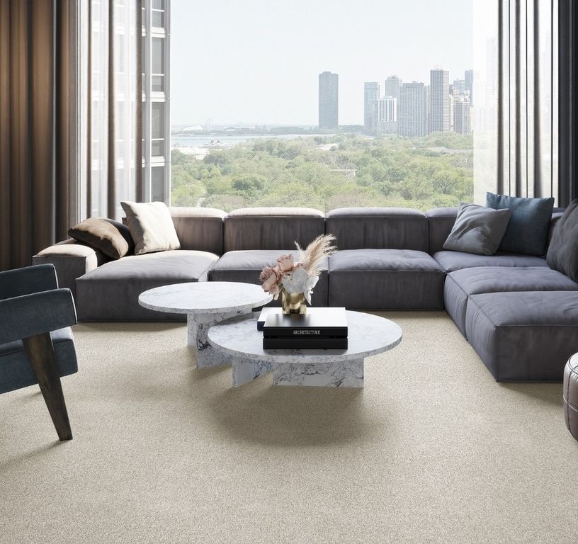 Moquette shaggy SECRET NEW 5M, col blanc, rouleau 5.00 m