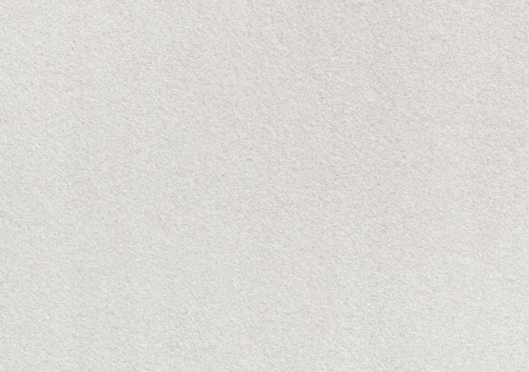 Moquette shaggy SECRET NEW 5M, col blanc, rouleau 5.00 m