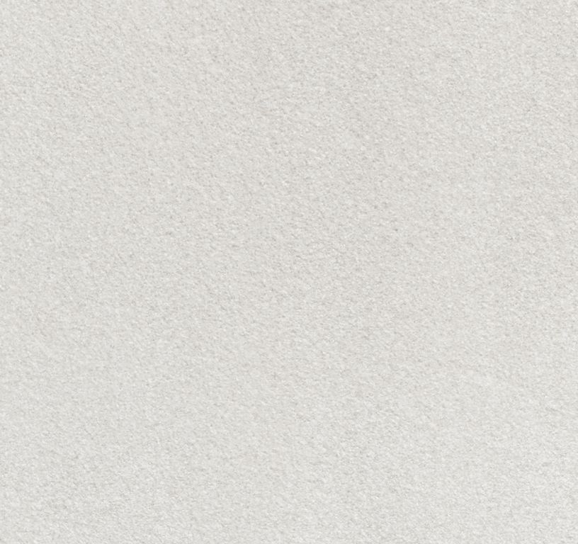 Moquette shaggy SECRET NEW 5M, col blanc, rouleau 5.00 m