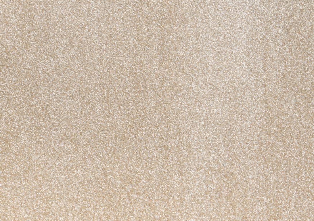 Moquette shaggy SECRET NEW 5M, col creme, rouleau 5.00 m