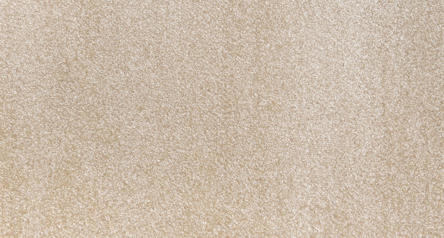 Moquette shaggy SECRET NEW 5M, col creme, rouleau 5.00 m