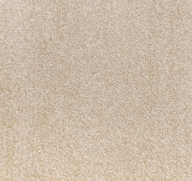 Moquette shaggy SECRET NEW 5M, col creme, rouleau 5.00 m