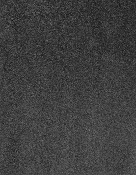 Moquette shaggy SECRET NEW 5M, col noir, rouleau 5.00 m