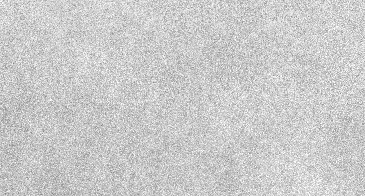 Moquette velours ORION NEW 4M, col gris souris, rouleau 4.00 m