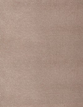 Moquette velours SENTIMENT 5M, col taupe, rouleau 5.00 m