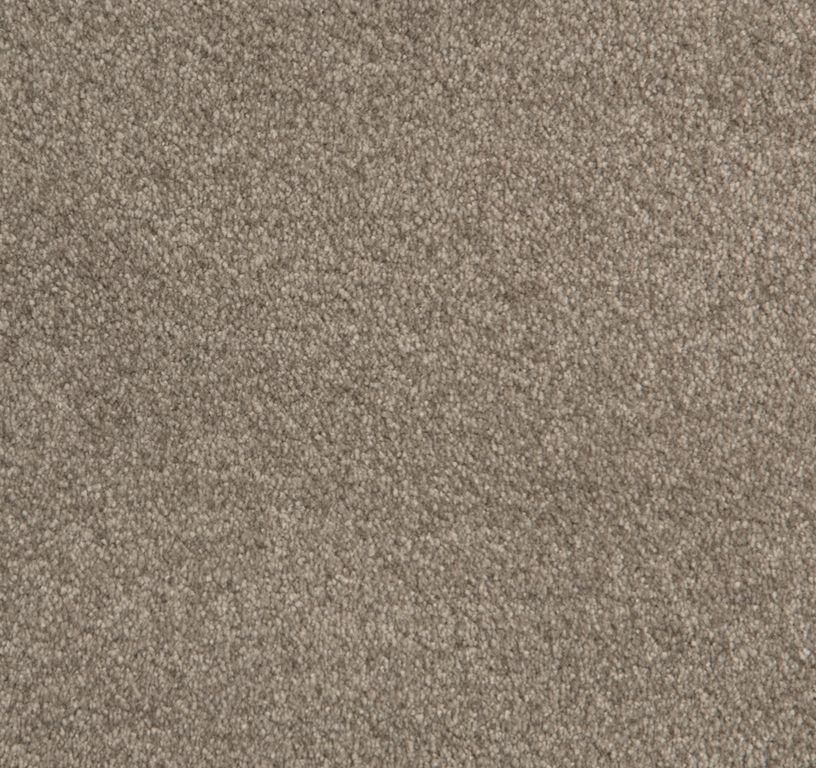 Moquette shaggy SATISFACTION 4M, col greige, rouleau 4.00 m