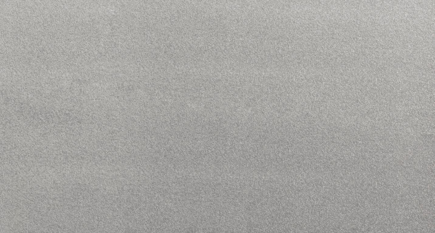 Moquette shaggy SATISFACTION 4M, col gris clair, rouleau 4.00 m